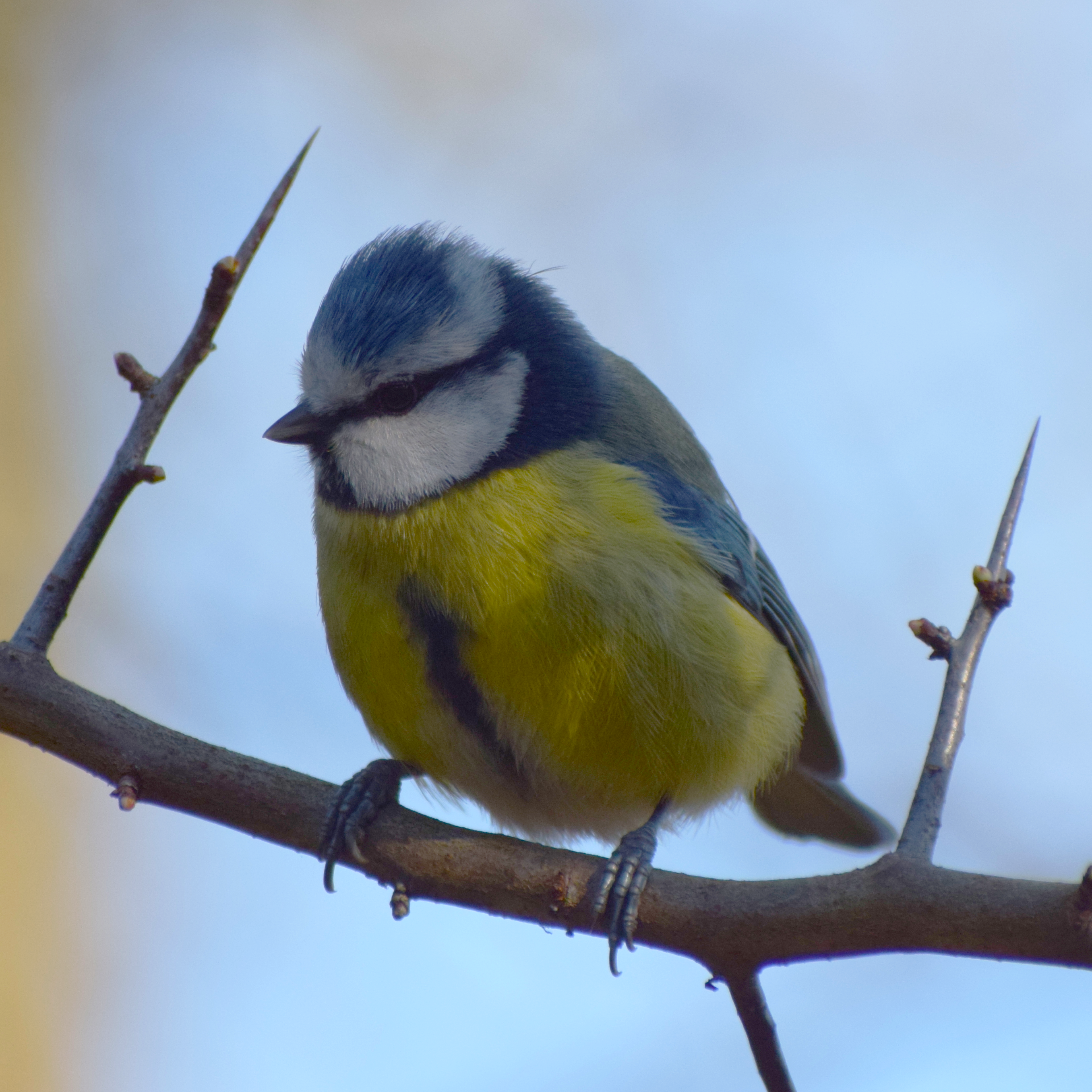 Favourite Nature Photography